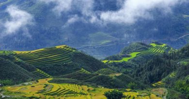 sapa tours